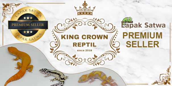 King crown reptile
