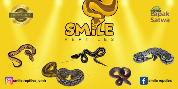 Smile Reptile