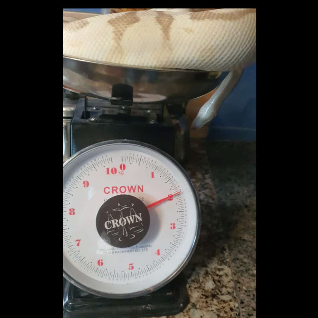 image-3