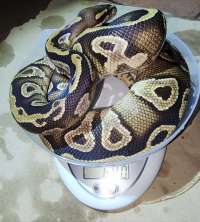 image-3