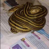 image-3