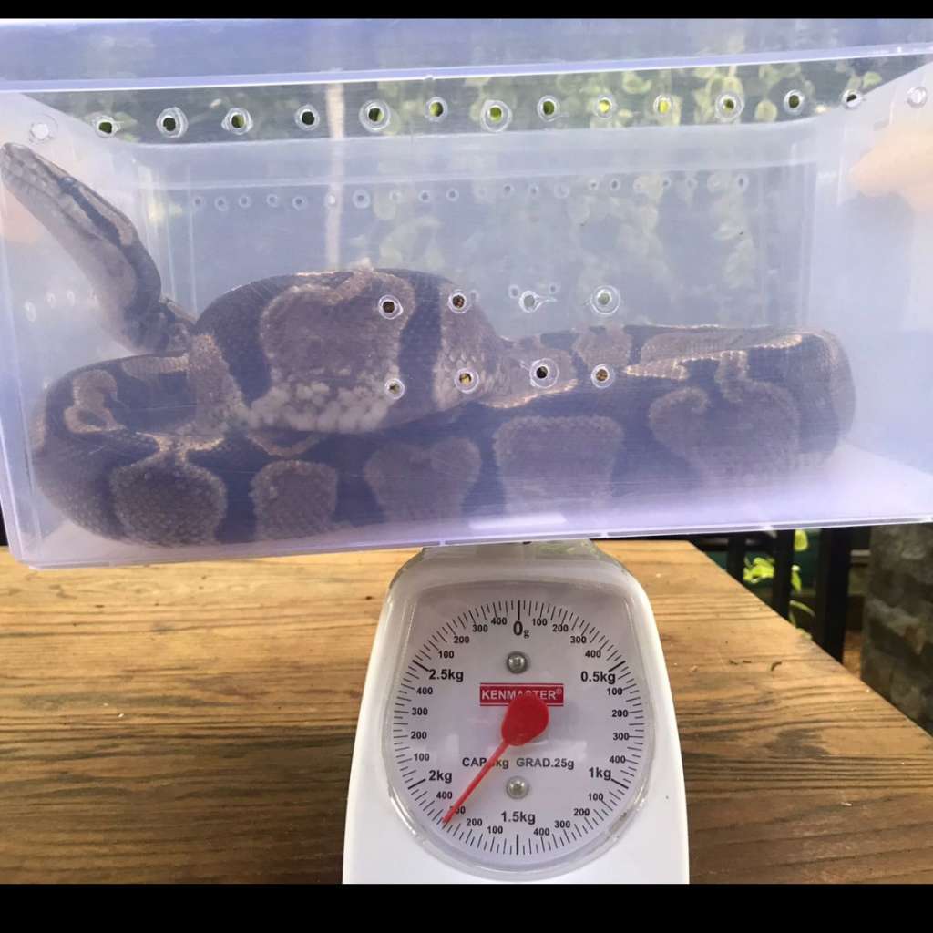 image-3