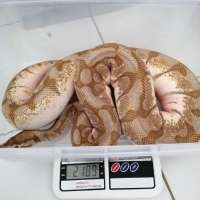 image-3