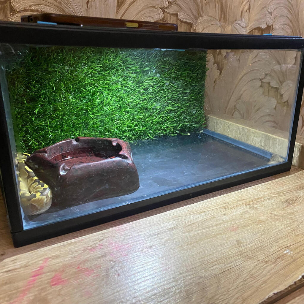 image-3