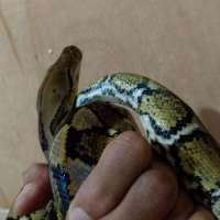 image-5