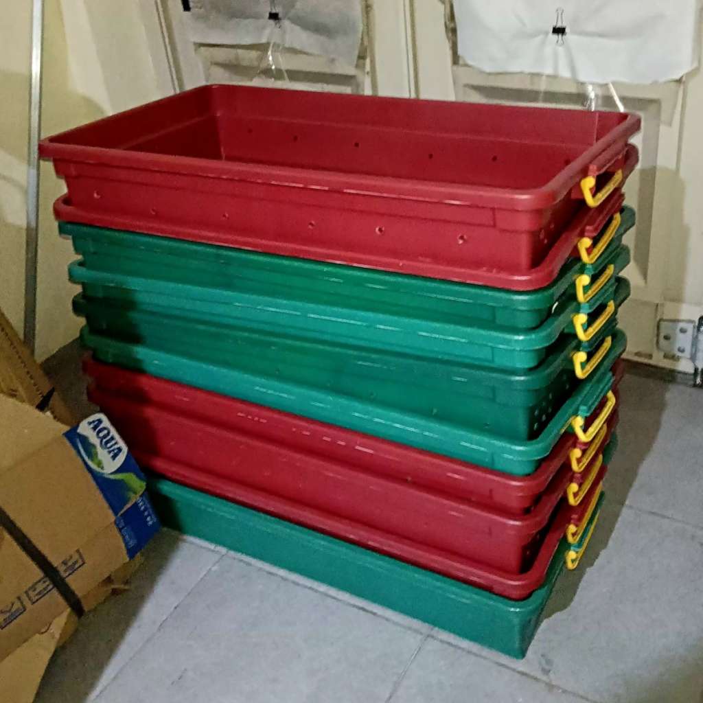 image-2