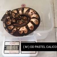 image-3
