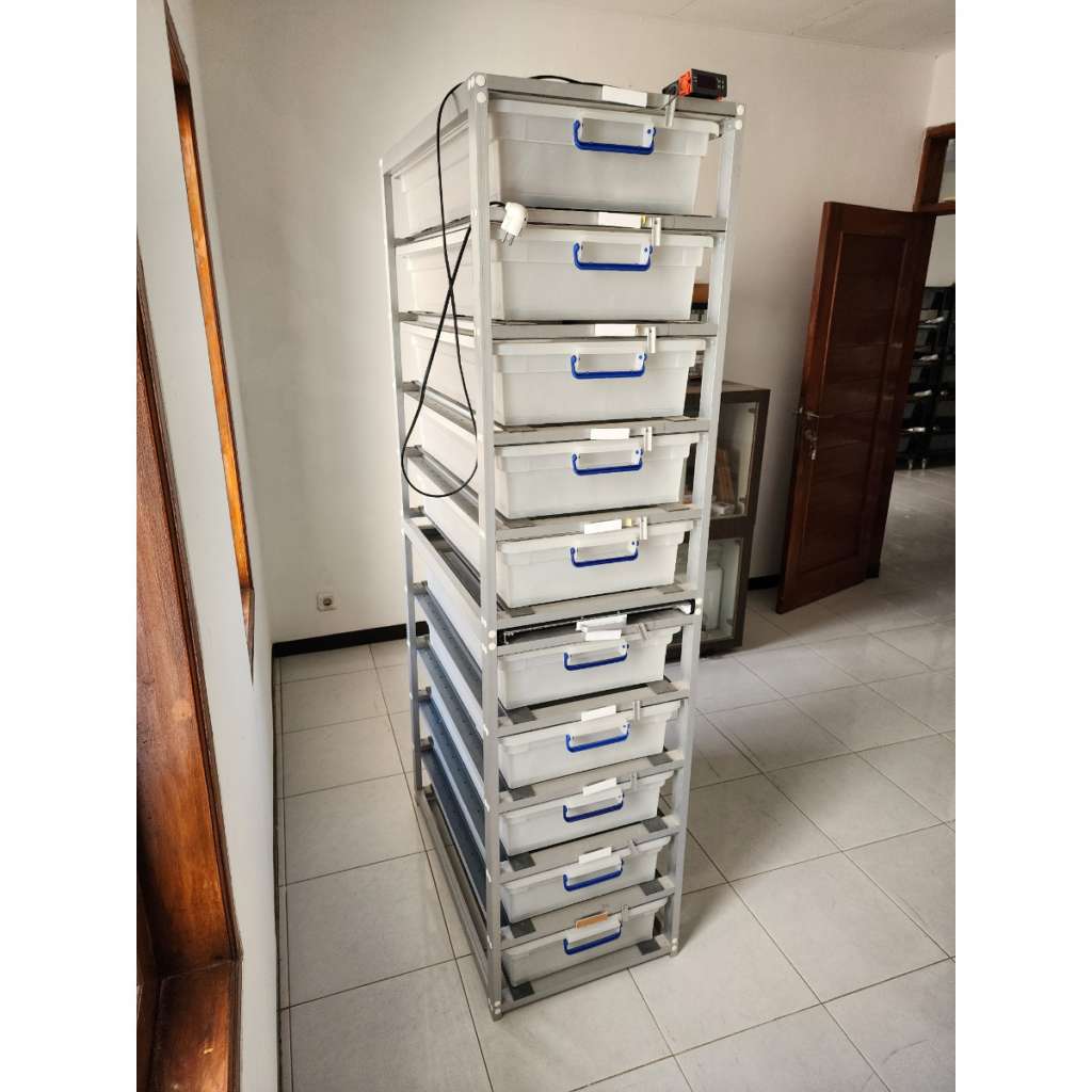 image-2