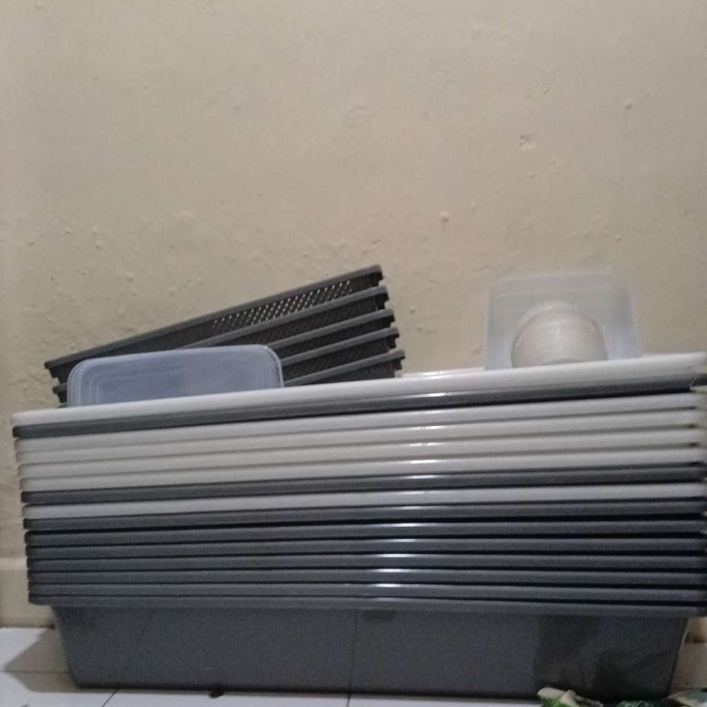 image-2