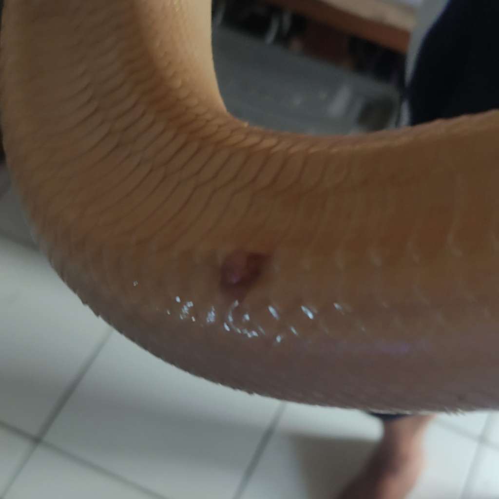 image-3