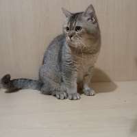 image-3