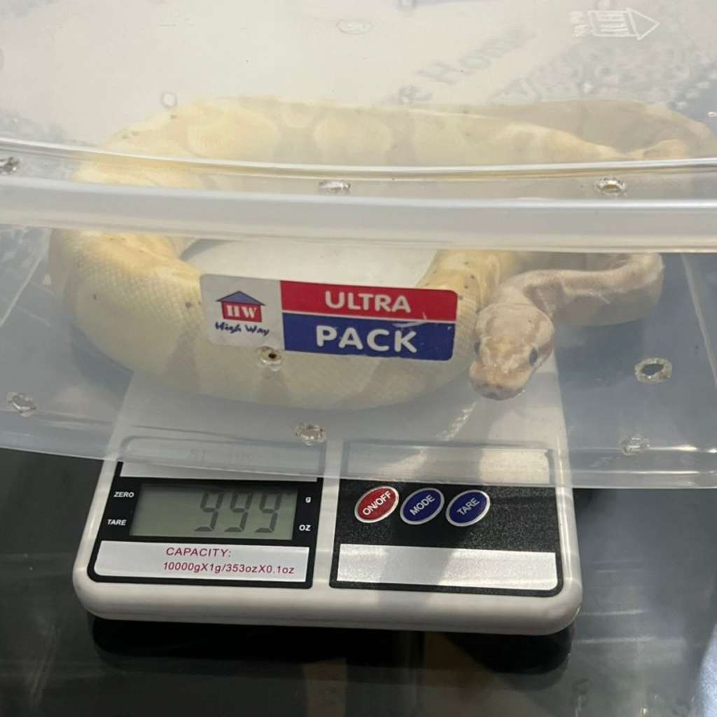 image-4