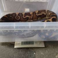 image-3