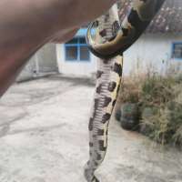 image-3