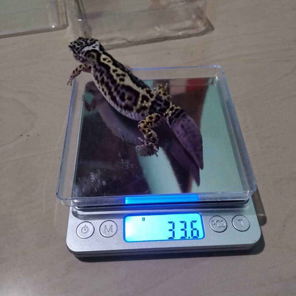 image-4