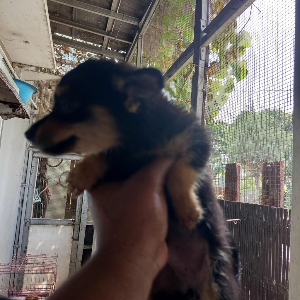 image-3