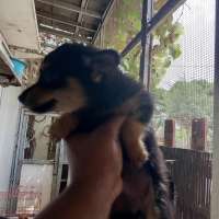 image-3