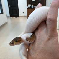 image-3