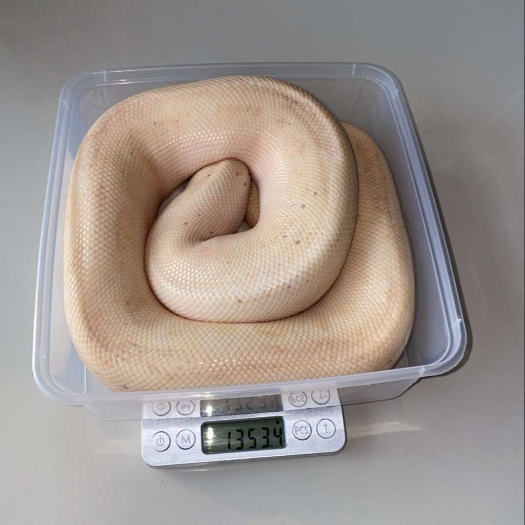 image-3