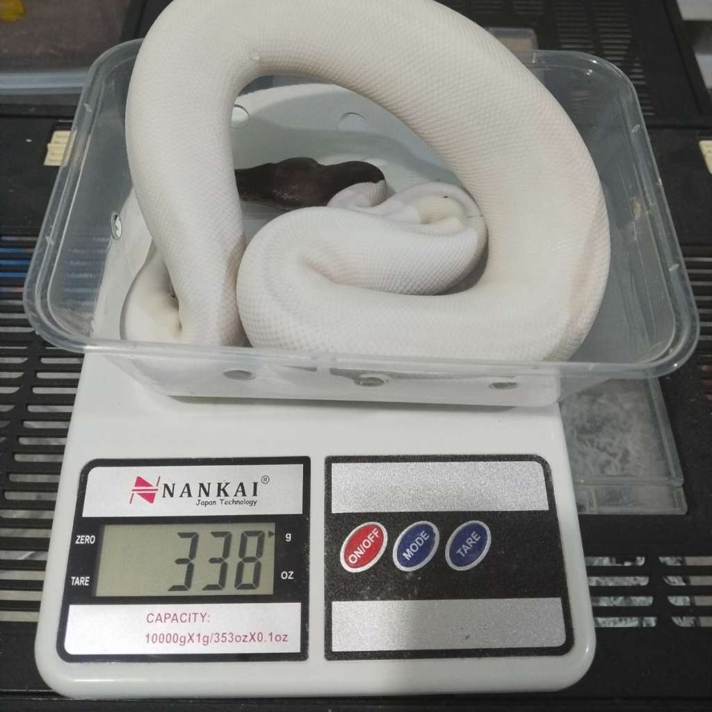 image-3
