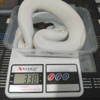 image-3