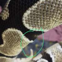 image-3