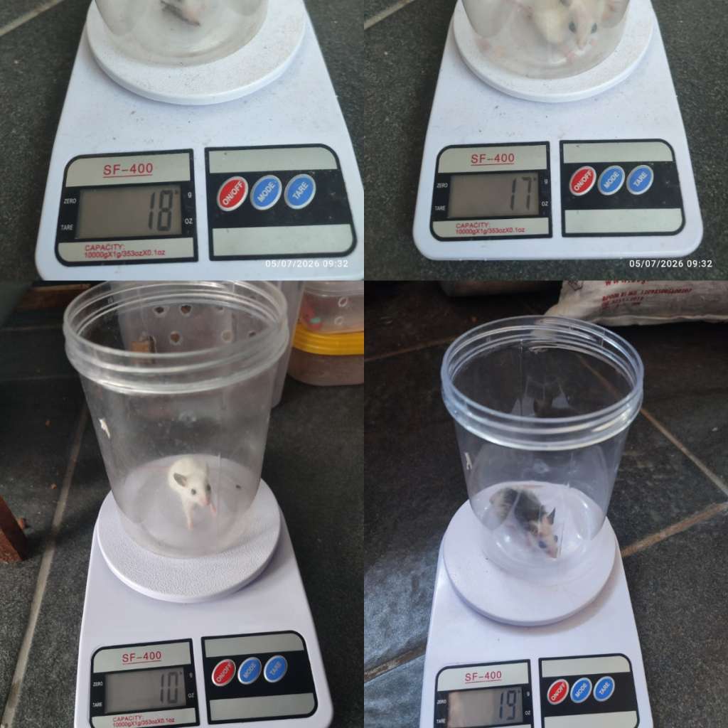 image-3