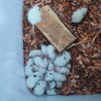 image-4