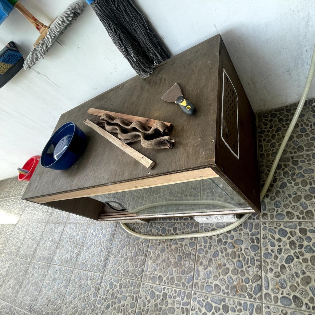 image-2