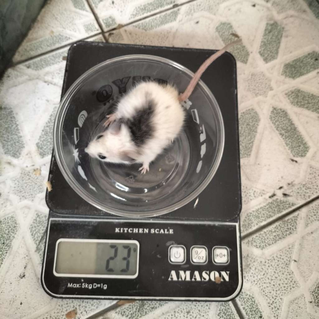 image-3