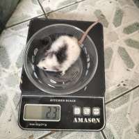 image-3