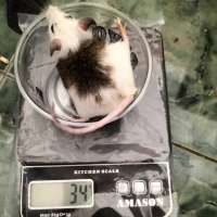 image-2