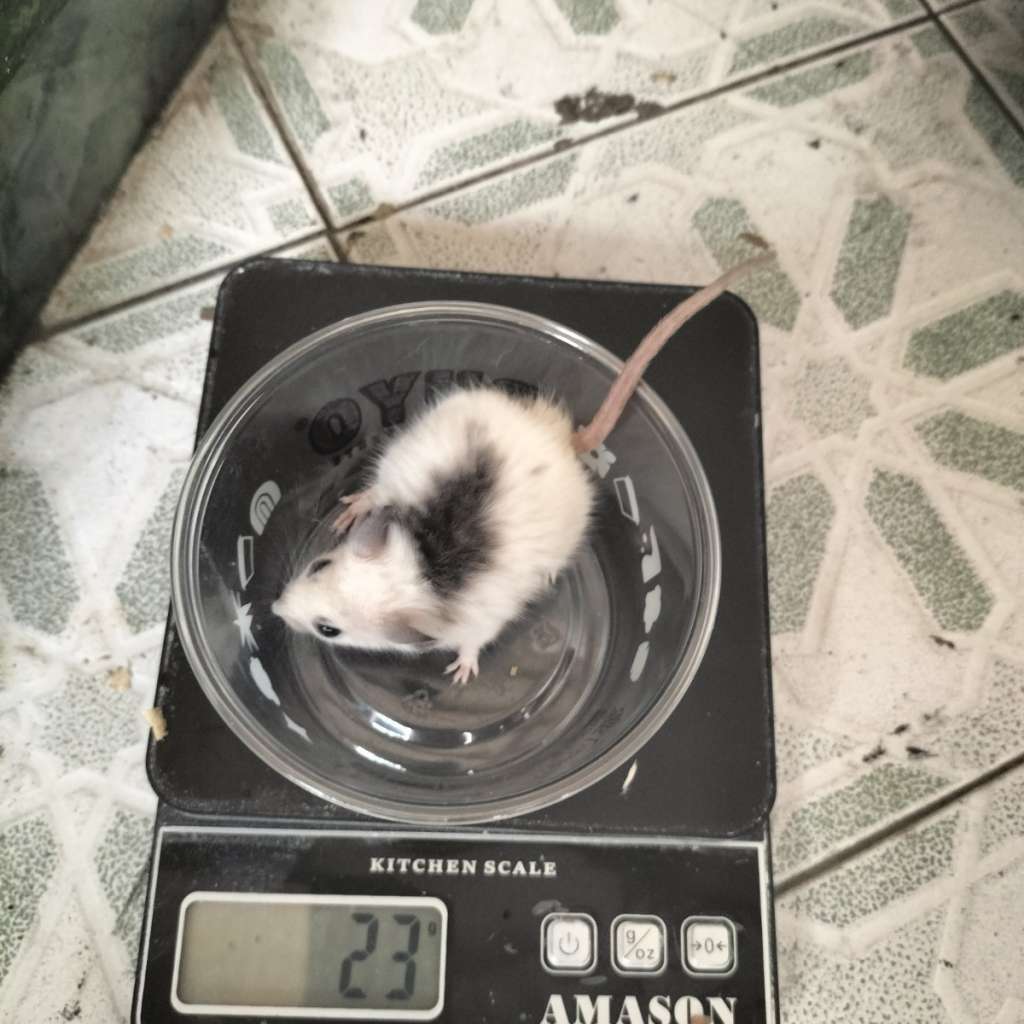 image-3