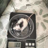 image-3