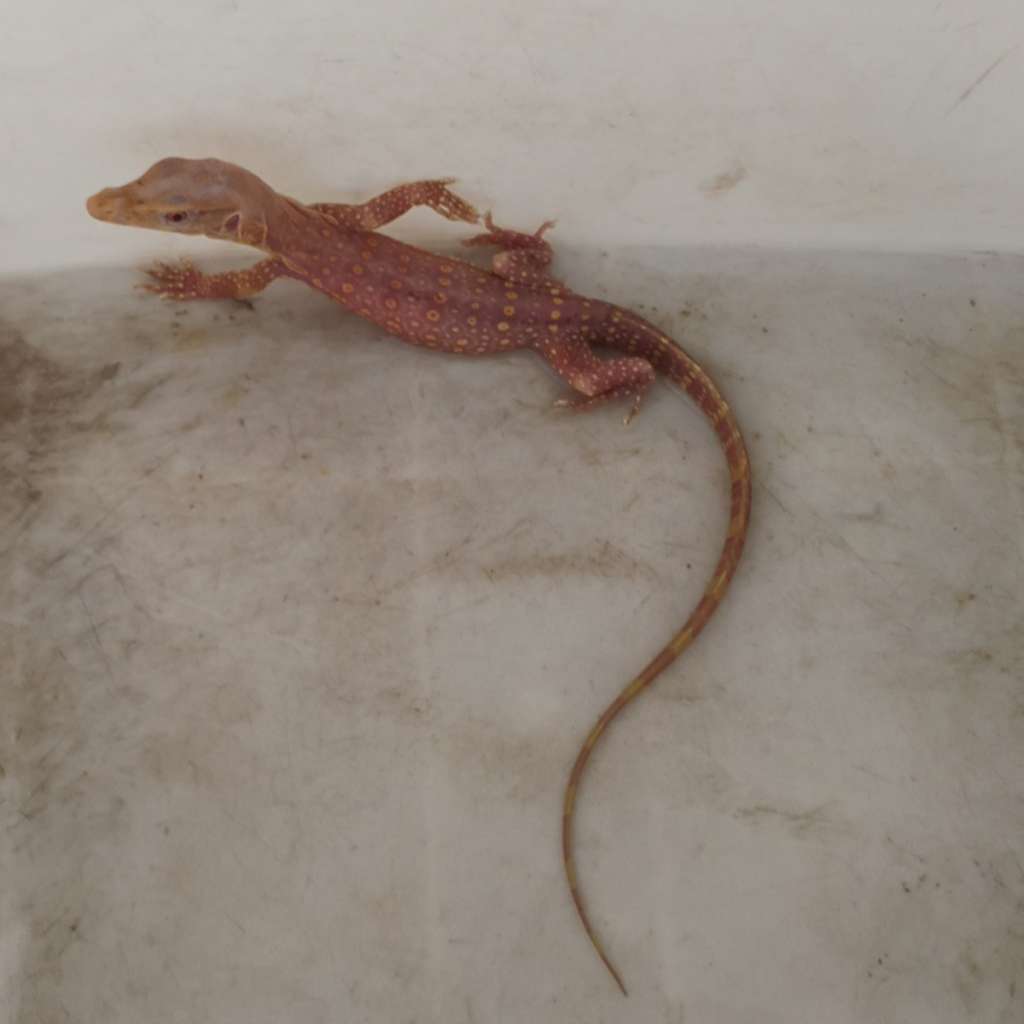 image-3