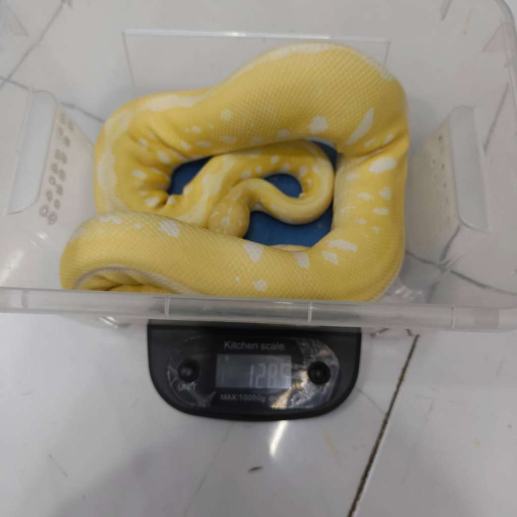 image-3