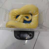image-3