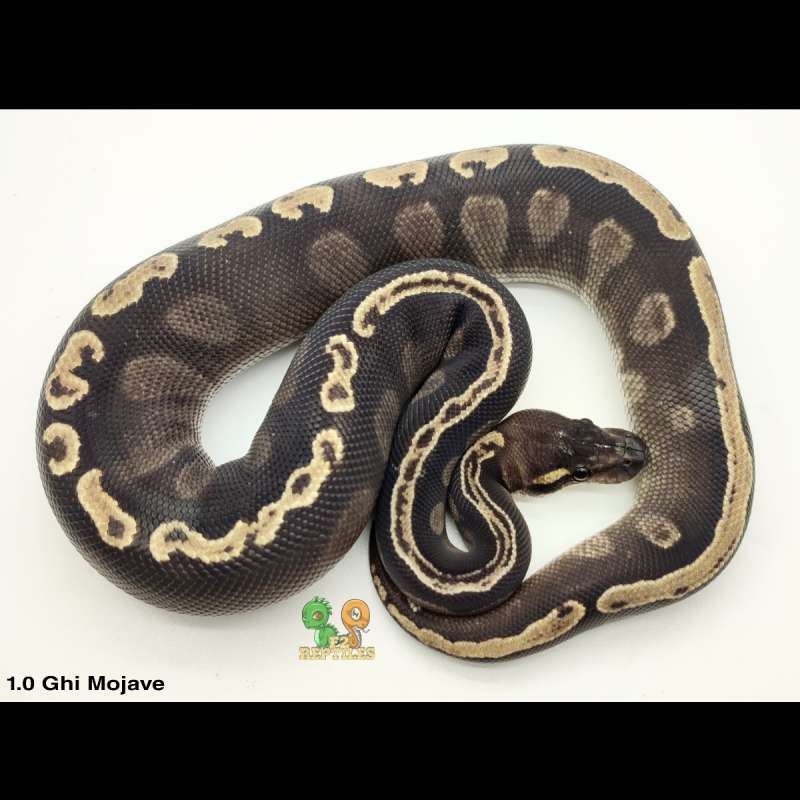 Ghi Mojave