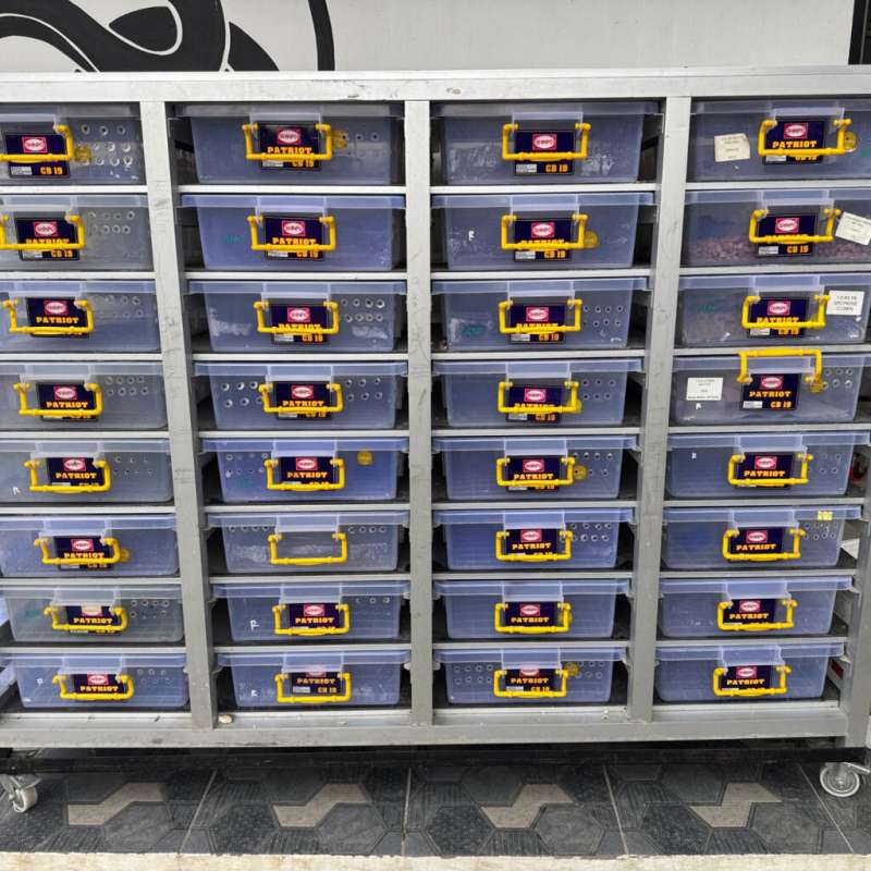 RAK BALL PYTHON 32 Slot Include Box
