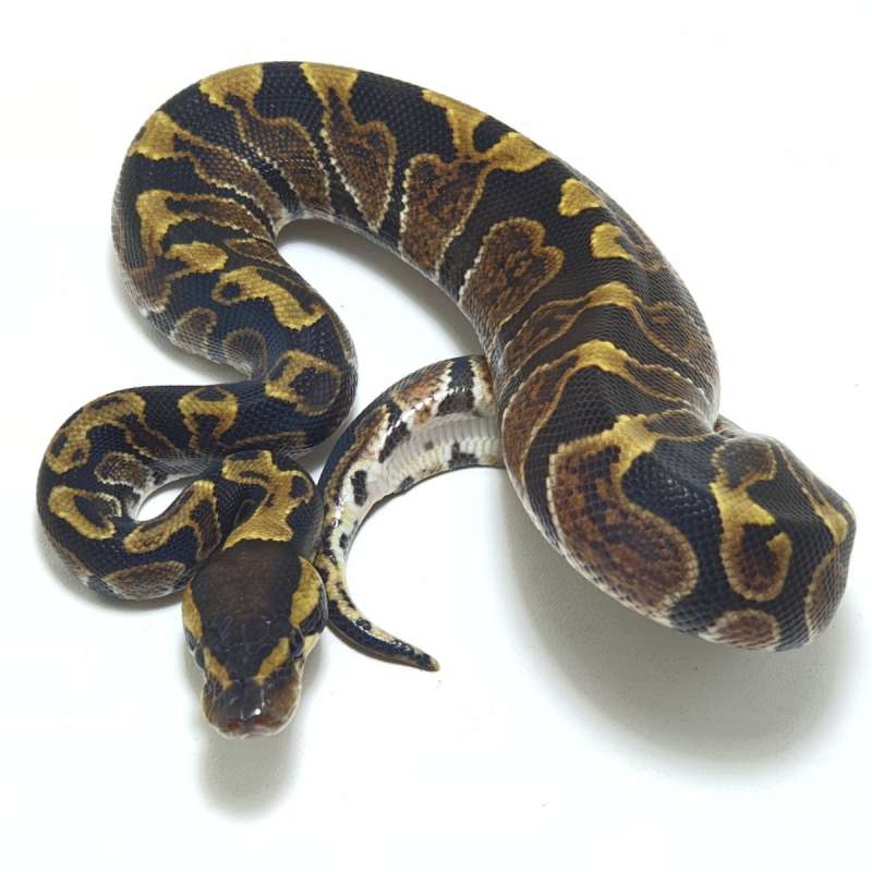 GHI