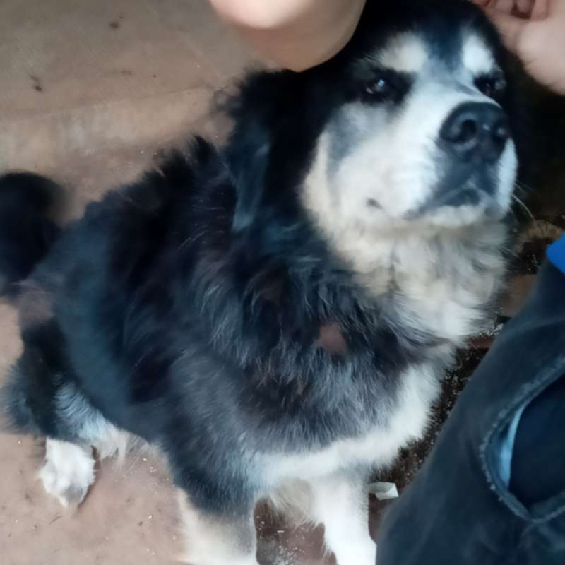 Ben