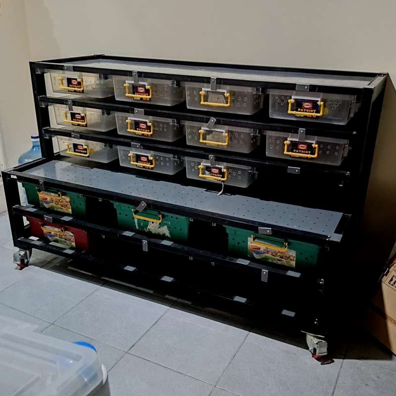 RAK Custom special buat Ball python