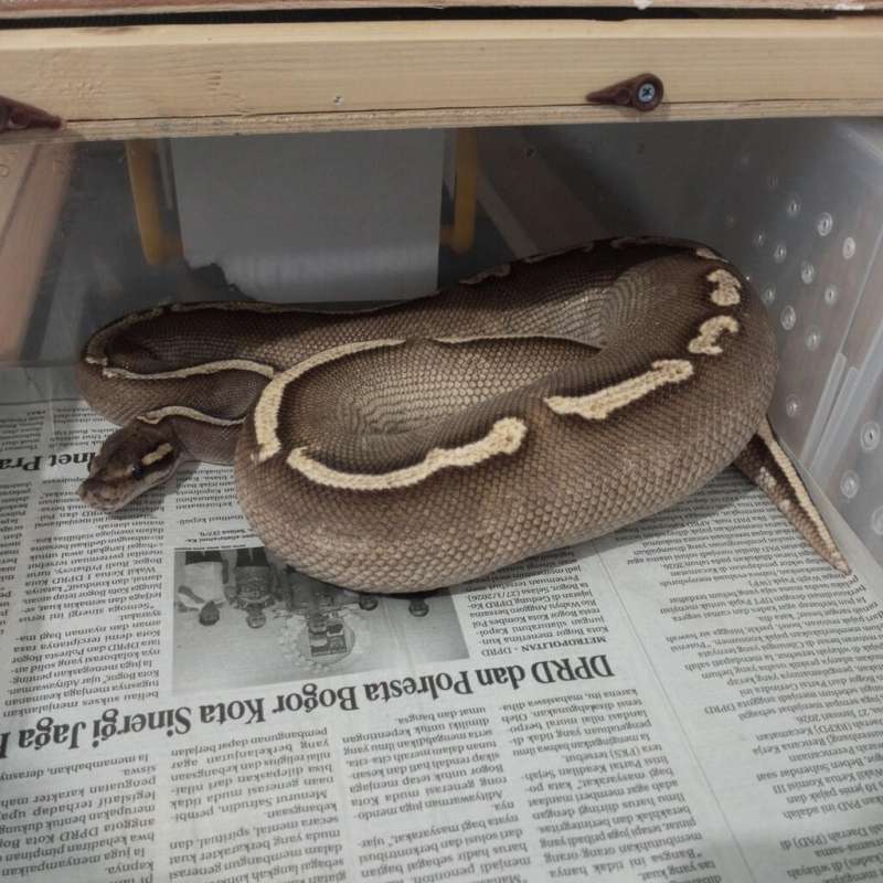 Proven GHI Mojave