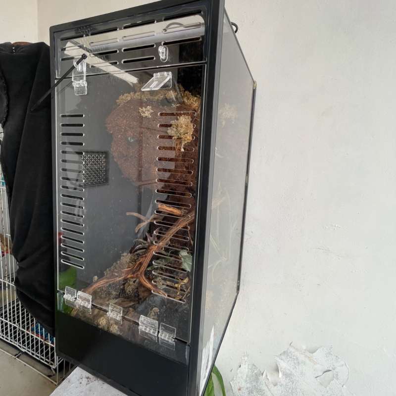 JAKARTA ONLY- Terrarium Bioactive