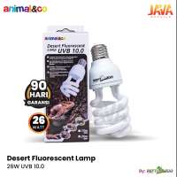 Animal&co Desert Fluoresc