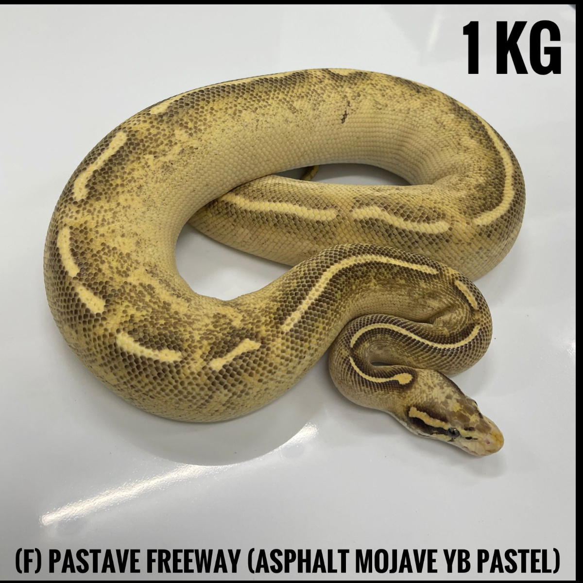 (F) Pastave Freeway (Asph