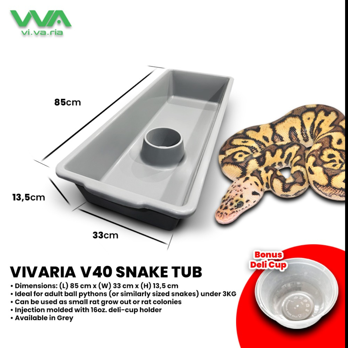 Vivaria V40 Snake Tub Kotak Ball Python BP Ular